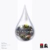 Petrichor (英)+ Petrichor: Flowers (2018)